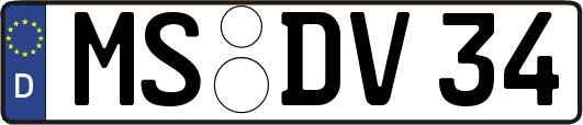 MS-DV34