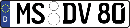 MS-DV80