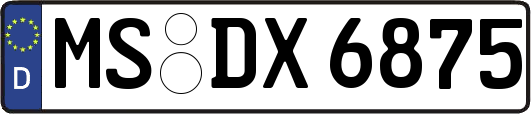 MS-DX6875