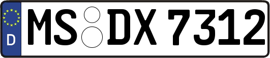 MS-DX7312
