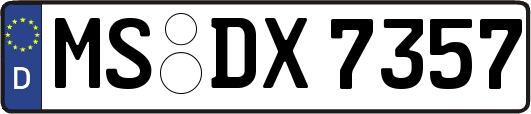 MS-DX7357