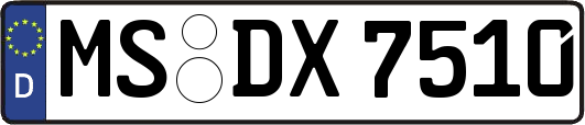 MS-DX7510
