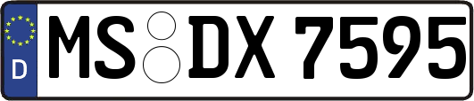 MS-DX7595