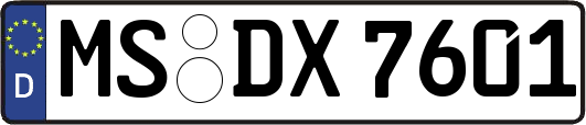 MS-DX7601