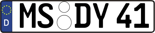 MS-DY41
