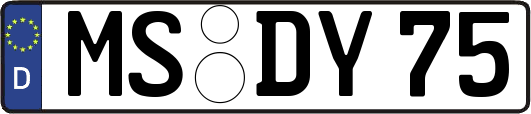 MS-DY75