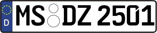 MS-DZ2501