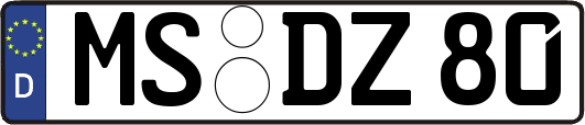 MS-DZ80