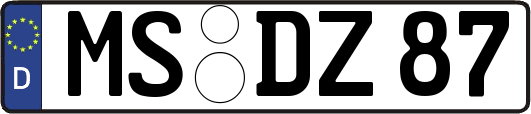 MS-DZ87