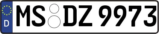 MS-DZ9973