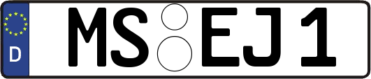 MS-EJ1