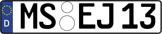 MS-EJ13