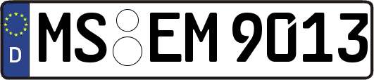MS-EM9013