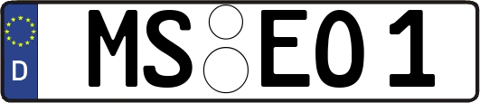 MS-EO1