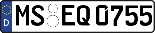 MS-EQ0755