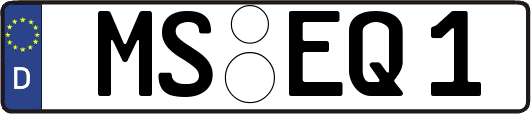 MS-EQ1