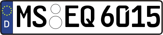 MS-EQ6015