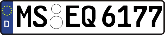MS-EQ6177