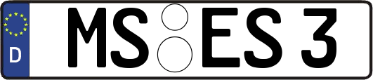 MS-ES3