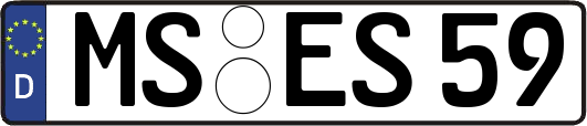 MS-ES59