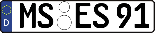 MS-ES91