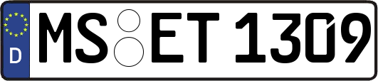 MS-ET1309