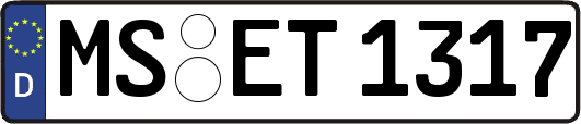 MS-ET1317