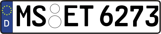 MS-ET6273
