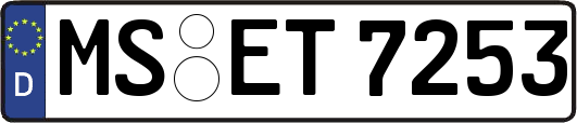 MS-ET7253