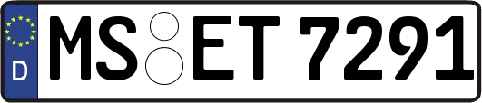 MS-ET7291