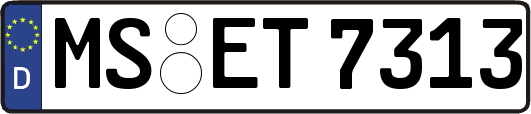 MS-ET7313