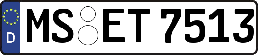 MS-ET7513