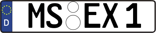 MS-EX1