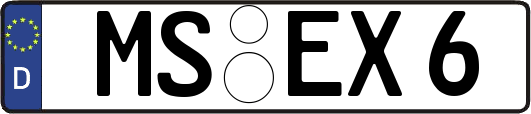 MS-EX6