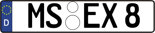 MS-EX8