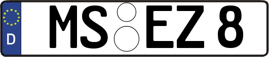 MS-EZ8