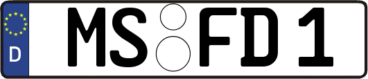 MS-FD1