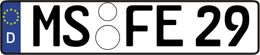 MS-FE29