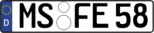 MS-FE58