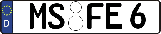 MS-FE6