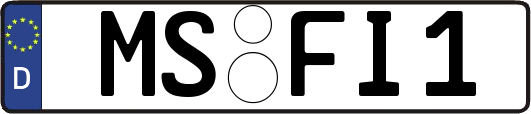 MS-FI1