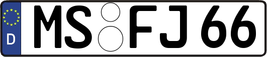 MS-FJ66