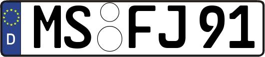 MS-FJ91