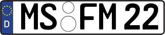 MS-FM22