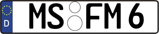 MS-FM6