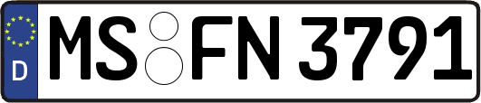 MS-FN3791