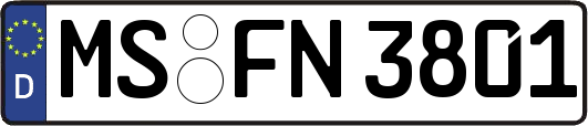 MS-FN3801