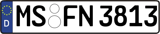 MS-FN3813