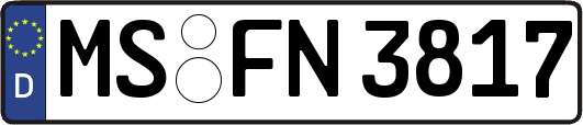 MS-FN3817