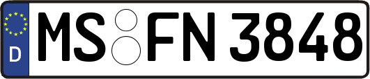 MS-FN3848